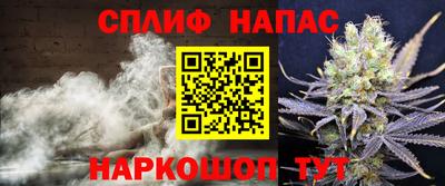spice Гудермес