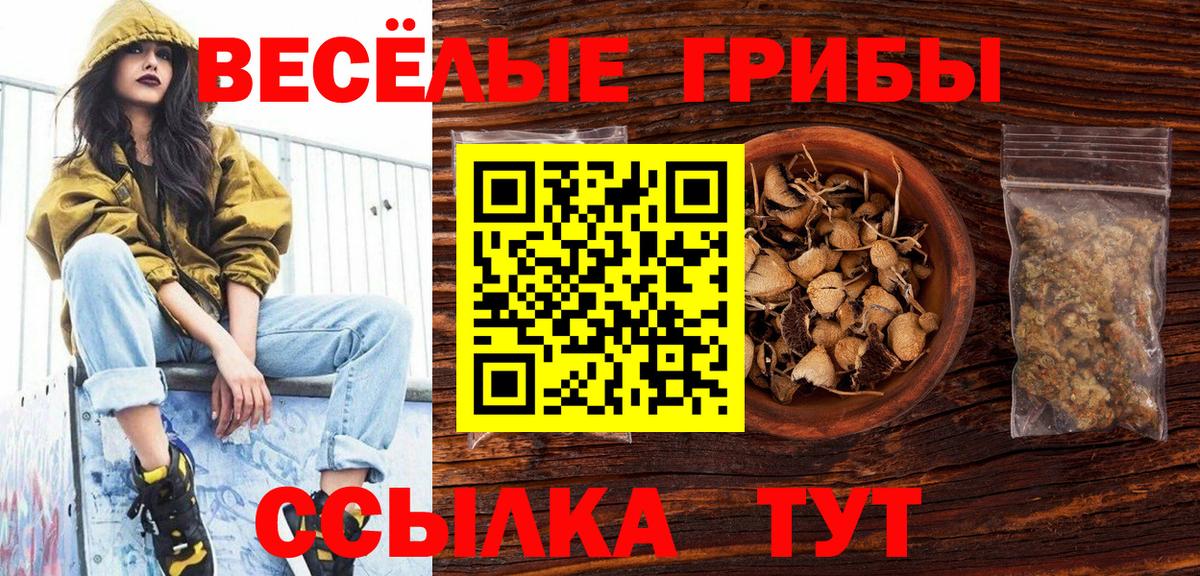 Псилоцибиновые грибы MAGIC MUSHROOMS Губаха
