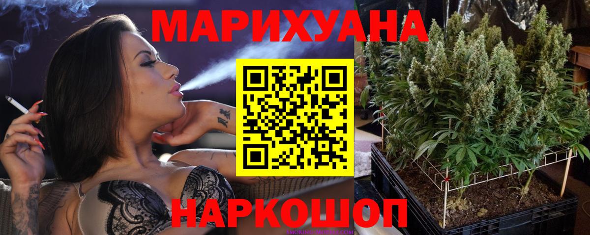 Бошки марихуана гибрид Губаха